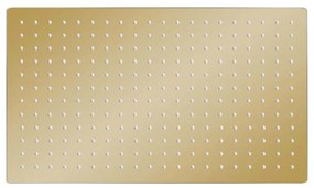 vidaXL Regendouchekop rechthoekig 50x30 cm roestvrij staal goudkleurig