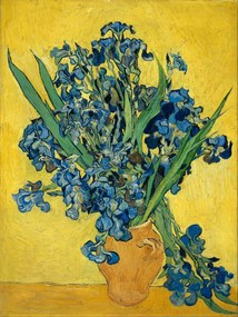 Kunstdruk Irises (Vintage Flowers) - Vincent van Gogh, (30 x 40 cm)