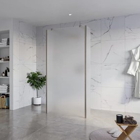 Fortifura Galeria Vrijstaande Inloopdouche - 100x200cm - Glas mat - antikalk - 8mm veiligheidsglas - 2 zijwanden 40cm - wandsteunen en hoekprofielen - Geborsteld Gunmetal PVD SW927771 2x/SW797927/SW797921 2x/SW798732 2x