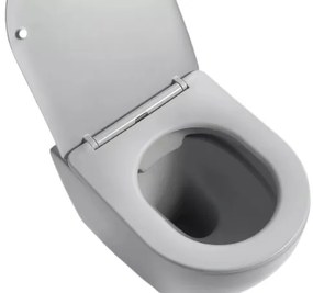 Lambini Design Kala hangend randloos toilet met softclose zitting grijs mat