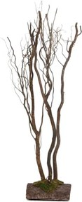 Naturel Boomstam-takken 120 cm