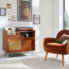 Vinylkast van notenhoutfineer en riet, Redpop