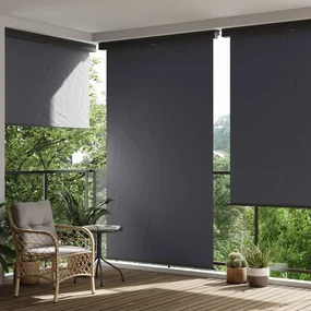 vidaXL Balkonscherm 170x250 cm zwart