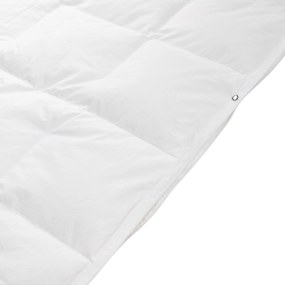 4-Seizoenen dekbed Balette | Balette