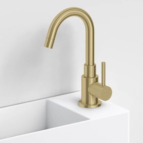 Clou Freddo 1 fonteinkraan met draaibare uitloop goud geborsteld PVD